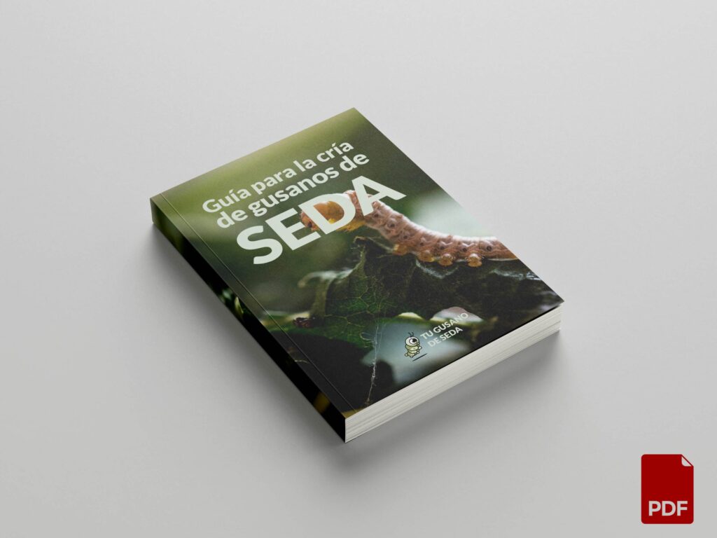 guia completa para criar gusanos de seda
