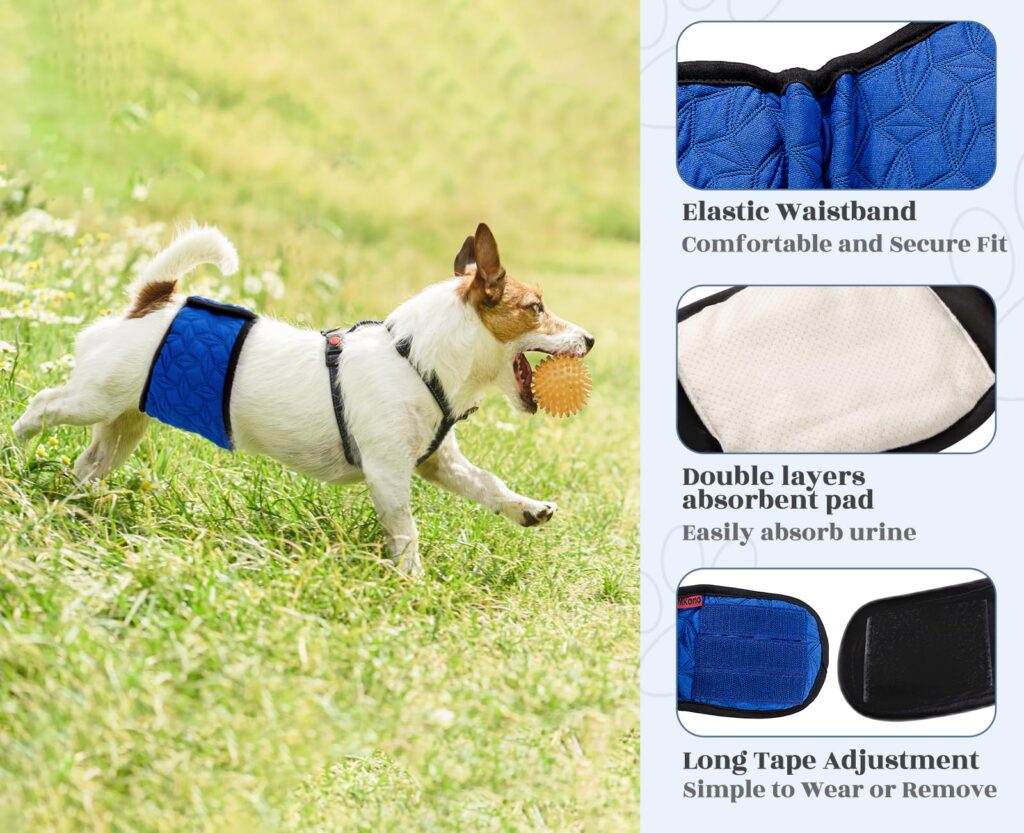 panales para perros machos