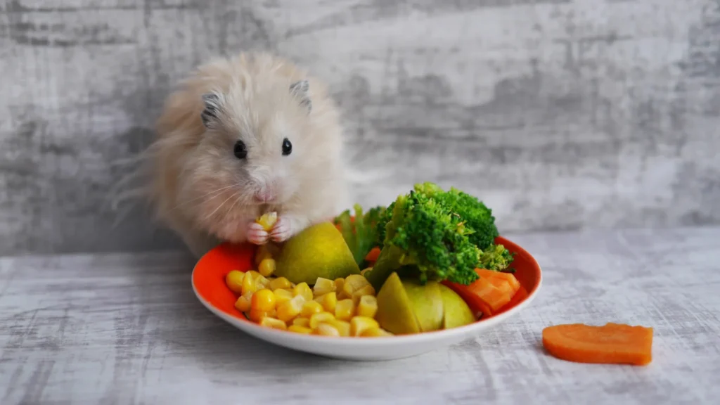 ¿Los conejos pueden comer kiwi? filetype:webp